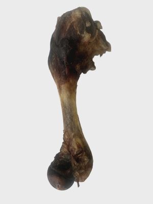 Veal Bone - Dehydrated