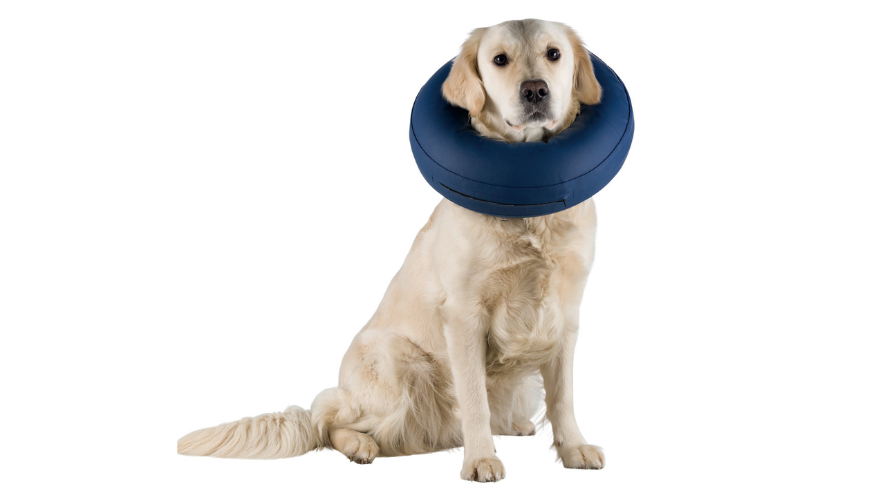Brooklands Protective Inflatable Collar, Size: X-Small