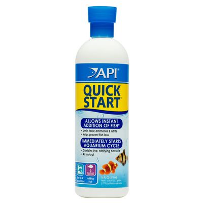 API Quick Start