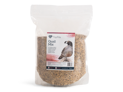 Topflite Aviary Quail Mix