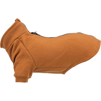 Trixie Amsterdam Sweatshirt - Rust