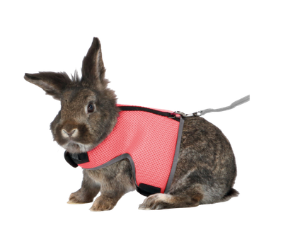 Soft Harness - Rabbits &amp; Guinea Pigs
