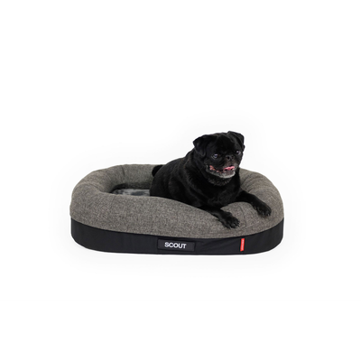 Ezy Dog 2in1 Ortho Calm Elite Bed Charcoal/Black