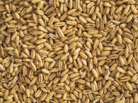 Topflite Hulled Oats, Bag Size: 1kg