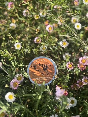 Pawganics Nose &amp; Paw Balm