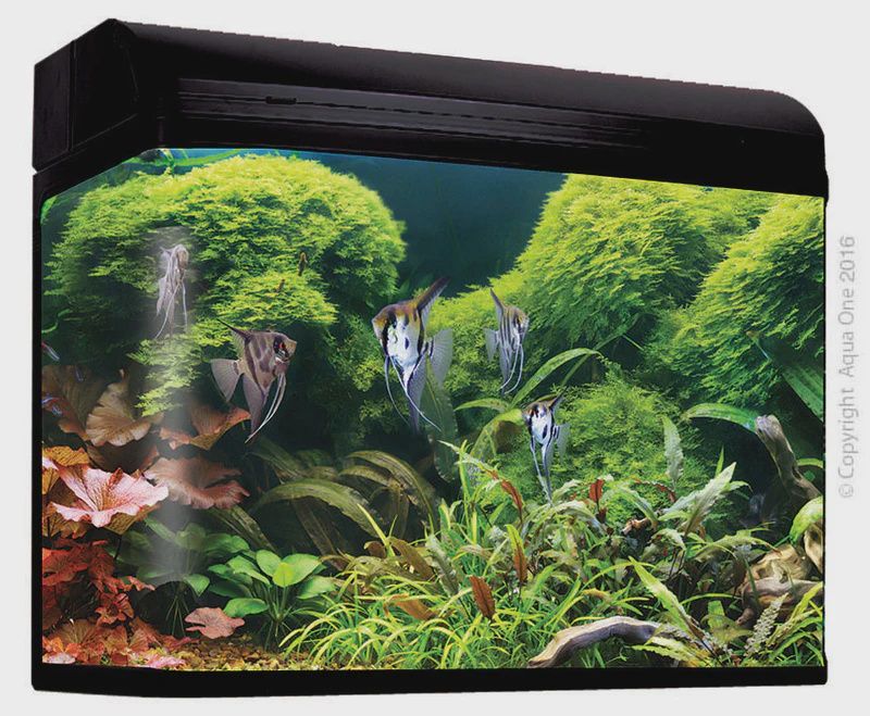 Aqua One Aquastyle AR980T - 240L Curved Glass Aquarium Black