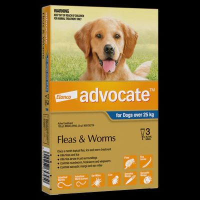 Advocate For Dogs Over 25kg