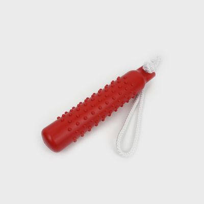 Spike Rope Buoy Dog Toy