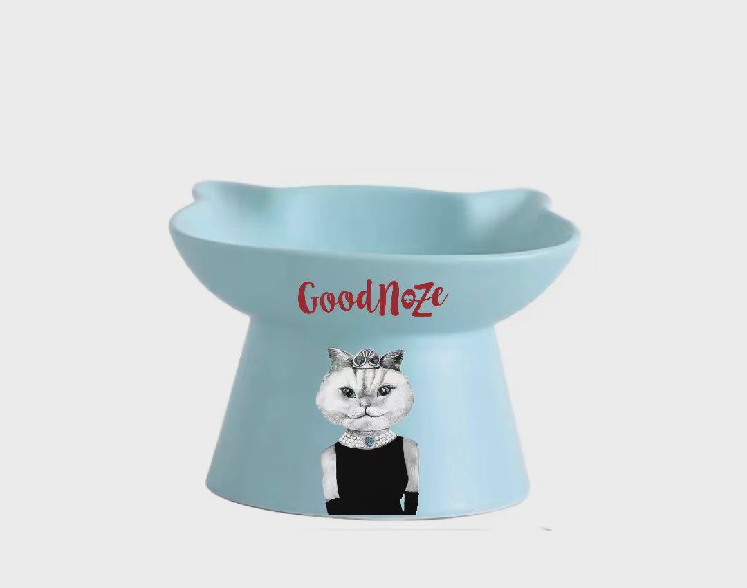Good Nose Raised Cat Bowl