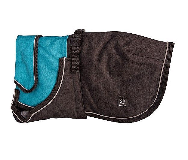 Blizzard Dog Coat Teal &amp; Black