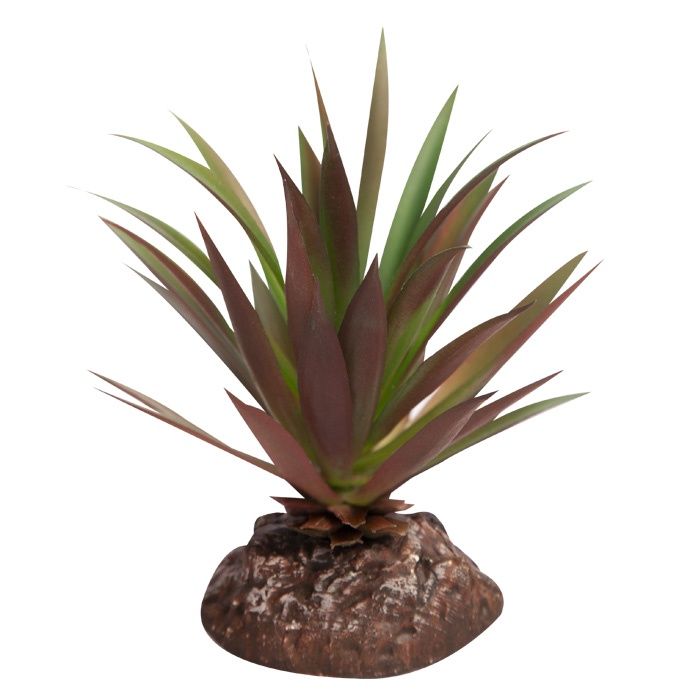 Reptile One Plant Mini Crassula Green Red With Ceramic Base