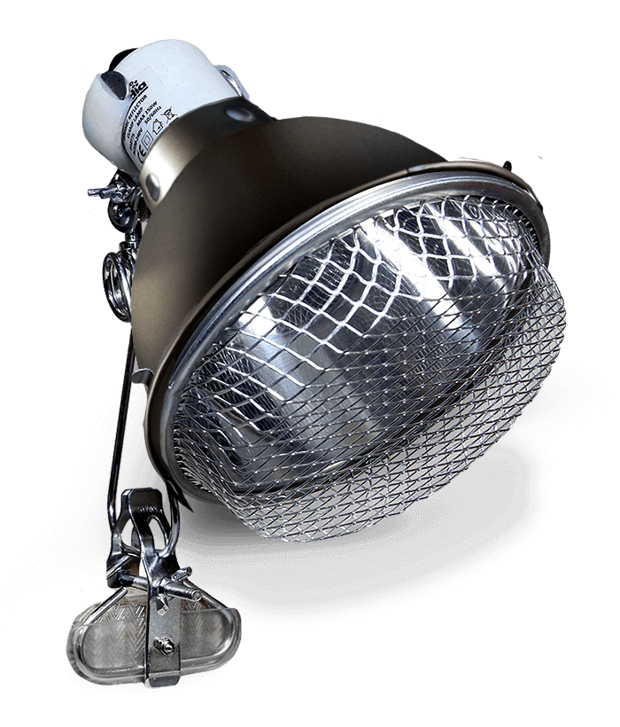 Arcadia Reptile Clamp Lamp