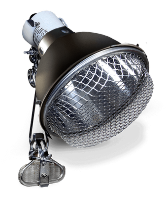 Arcadia Reptile Clamp Lamp