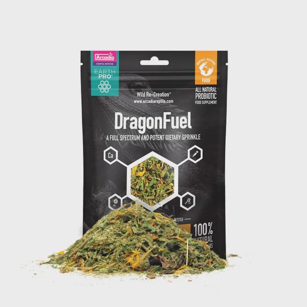 EarthPro-DragonFuel