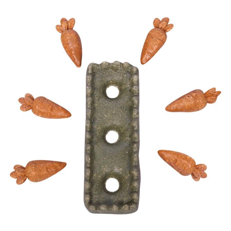 Pet One Small Animal Treat Carrot Patch