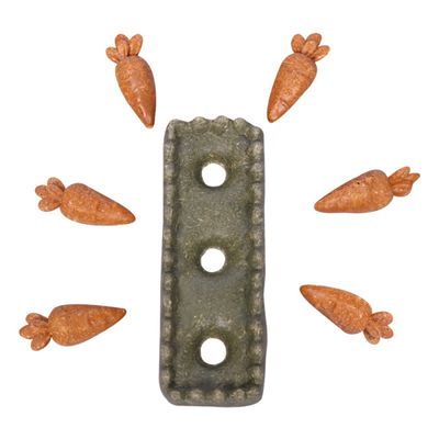 Pet One Small Animal Treat Carrot Patch Pet One Small Animal Treat Carrot Patch