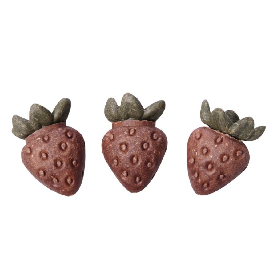 Pet One Small Animal Treat Strawberries