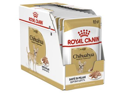 Royal Canin Chihuahua Adult Wet