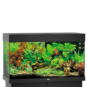 Juwel Rio 125 LED Aquarium