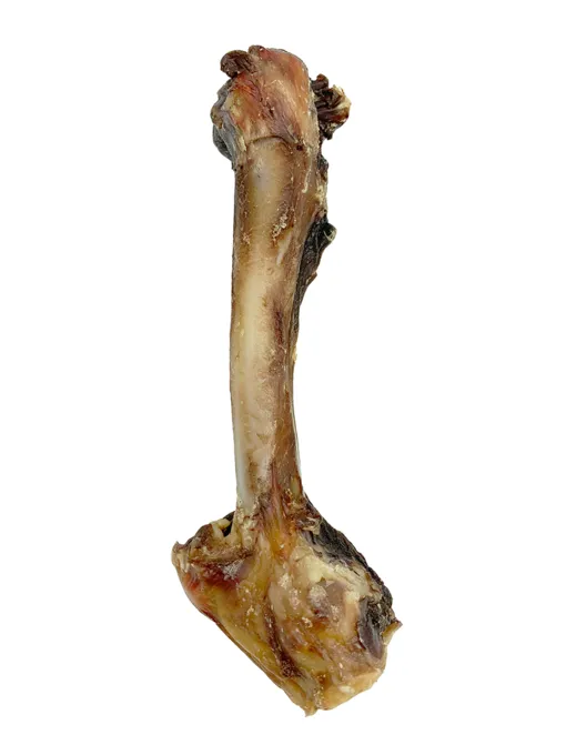 Goat Bone
