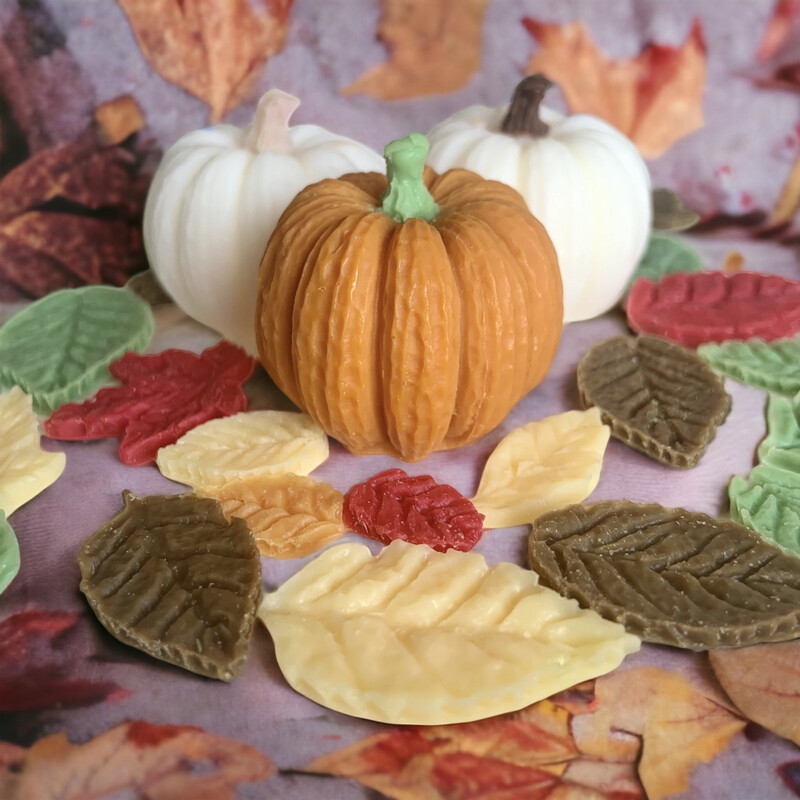 Pumpkin Patch Wax or Soap Embeds