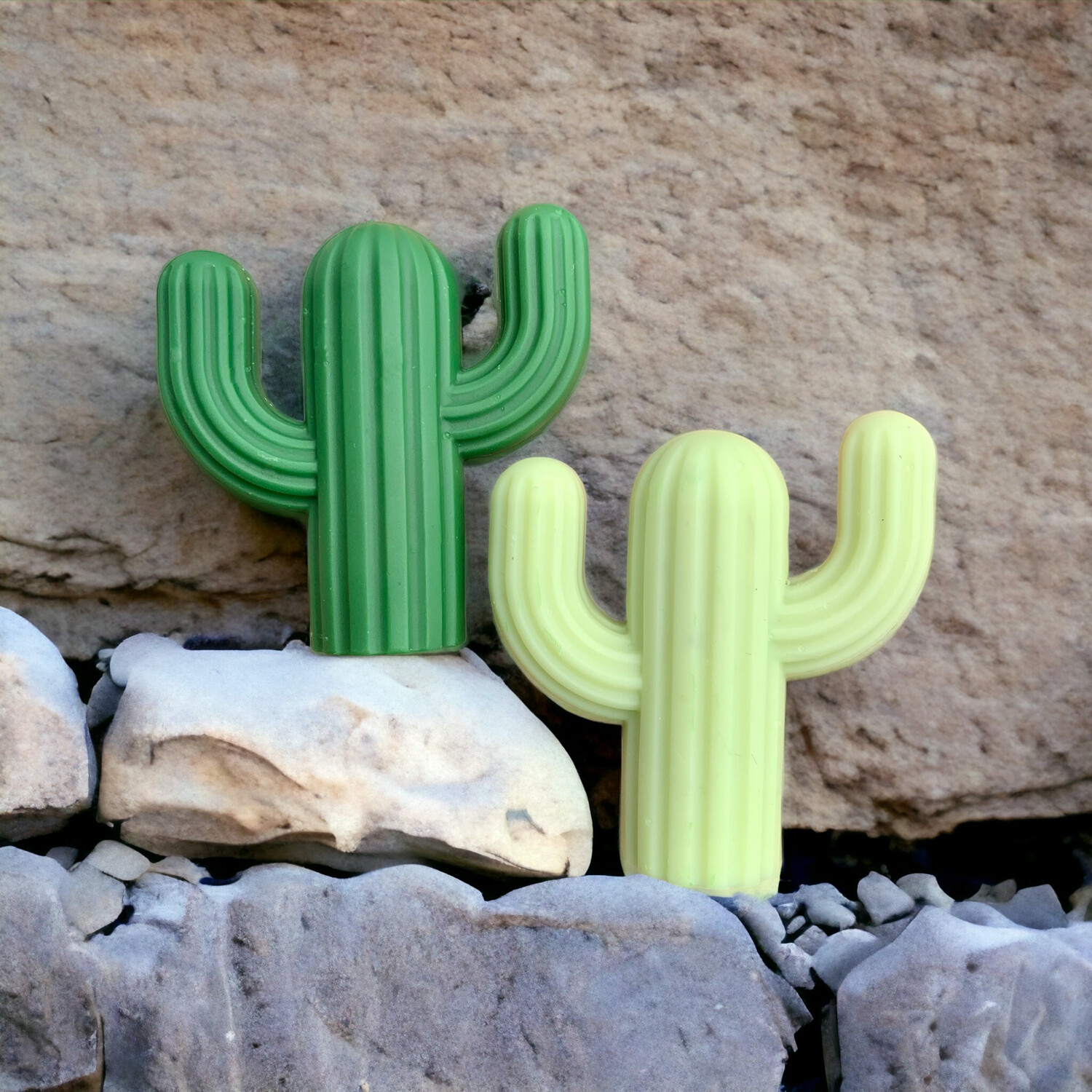 Cactus Wax or Soap Embeds