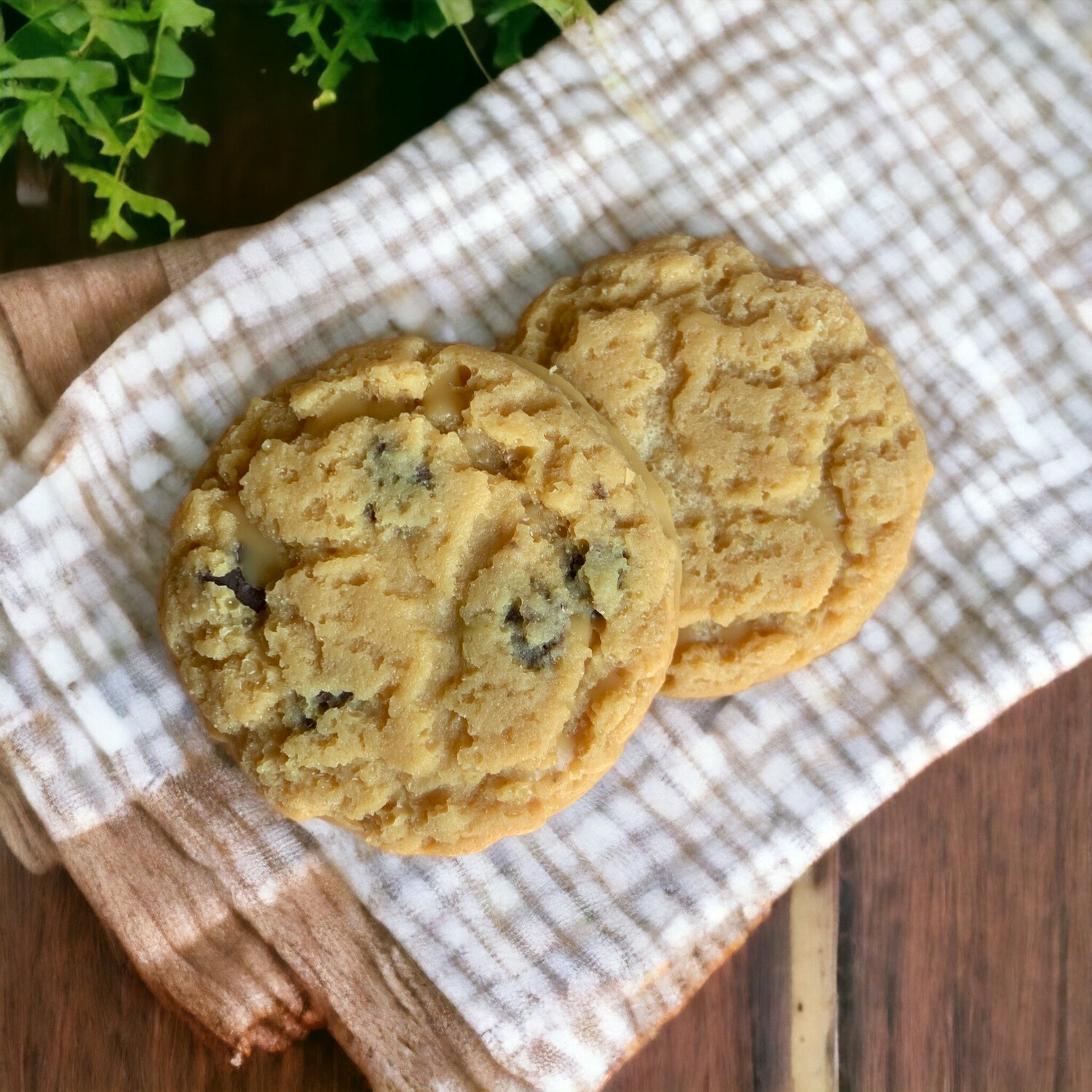 Realistic Cookie Wax or Soap Embeds
