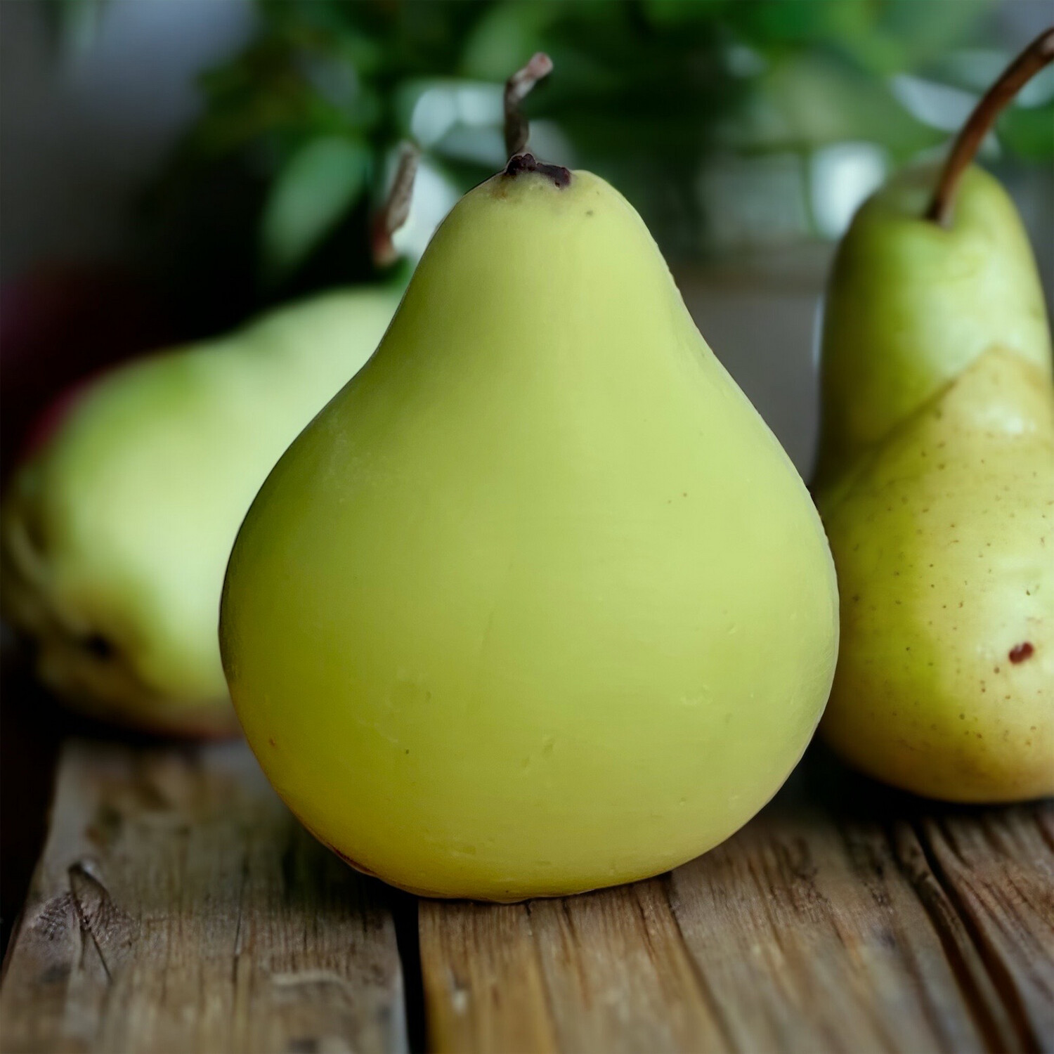 Pear Wax or Soap Embeds