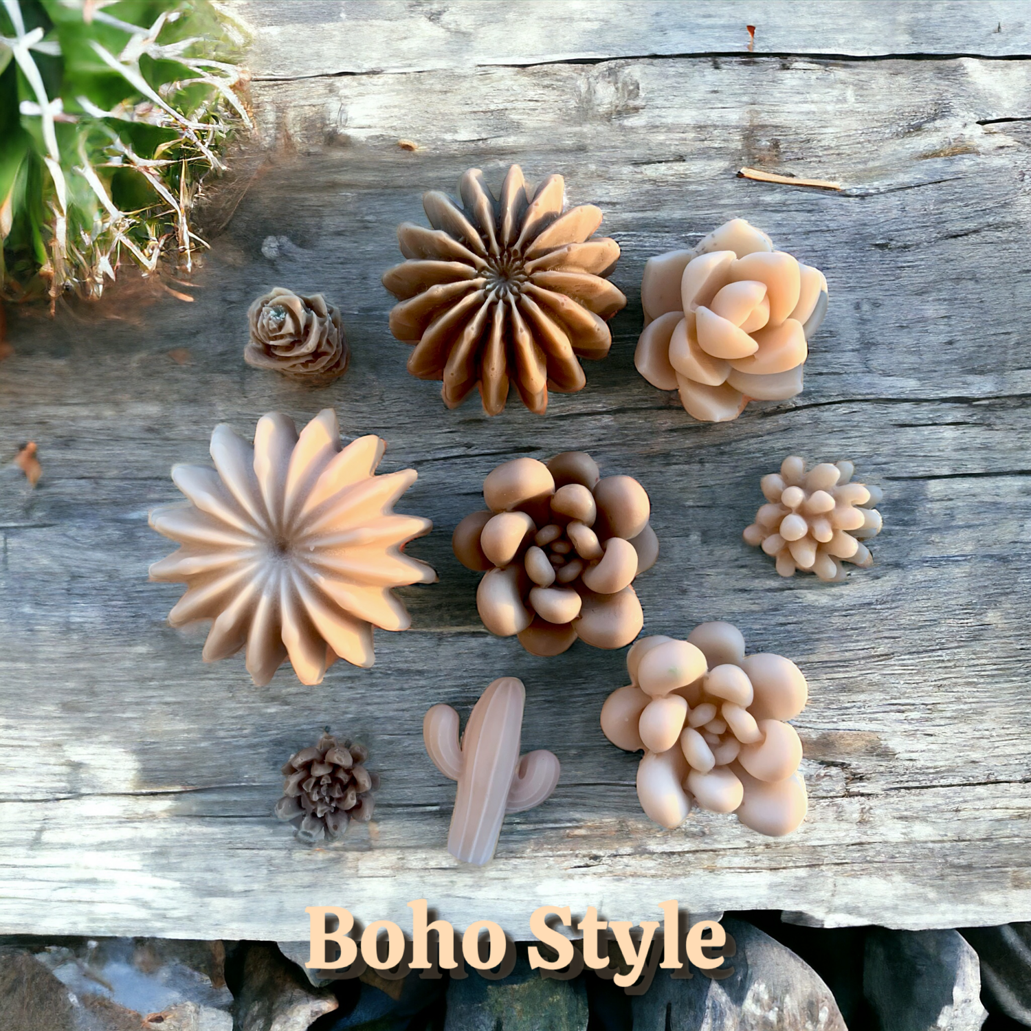 Succulent Cacti Garden Wax or Soap Embed Set