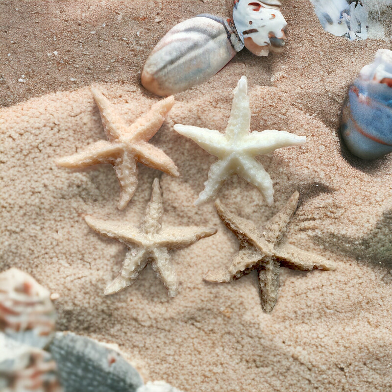 Starfish Wax or Soap Embeds