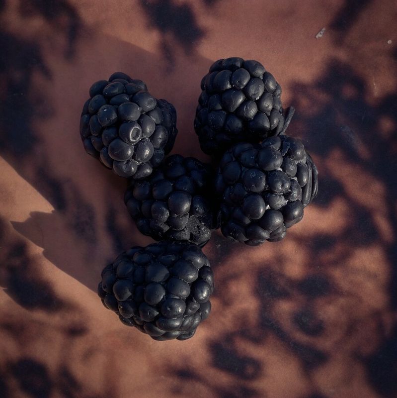Blackberry Small Wax or Soap Embeds