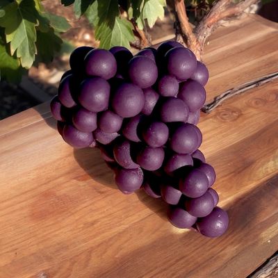 Grape Bundle Wax or Soap Embed