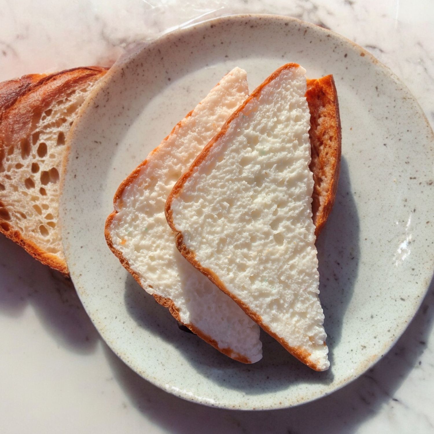 Bread Triangular Slices Wax Embeds