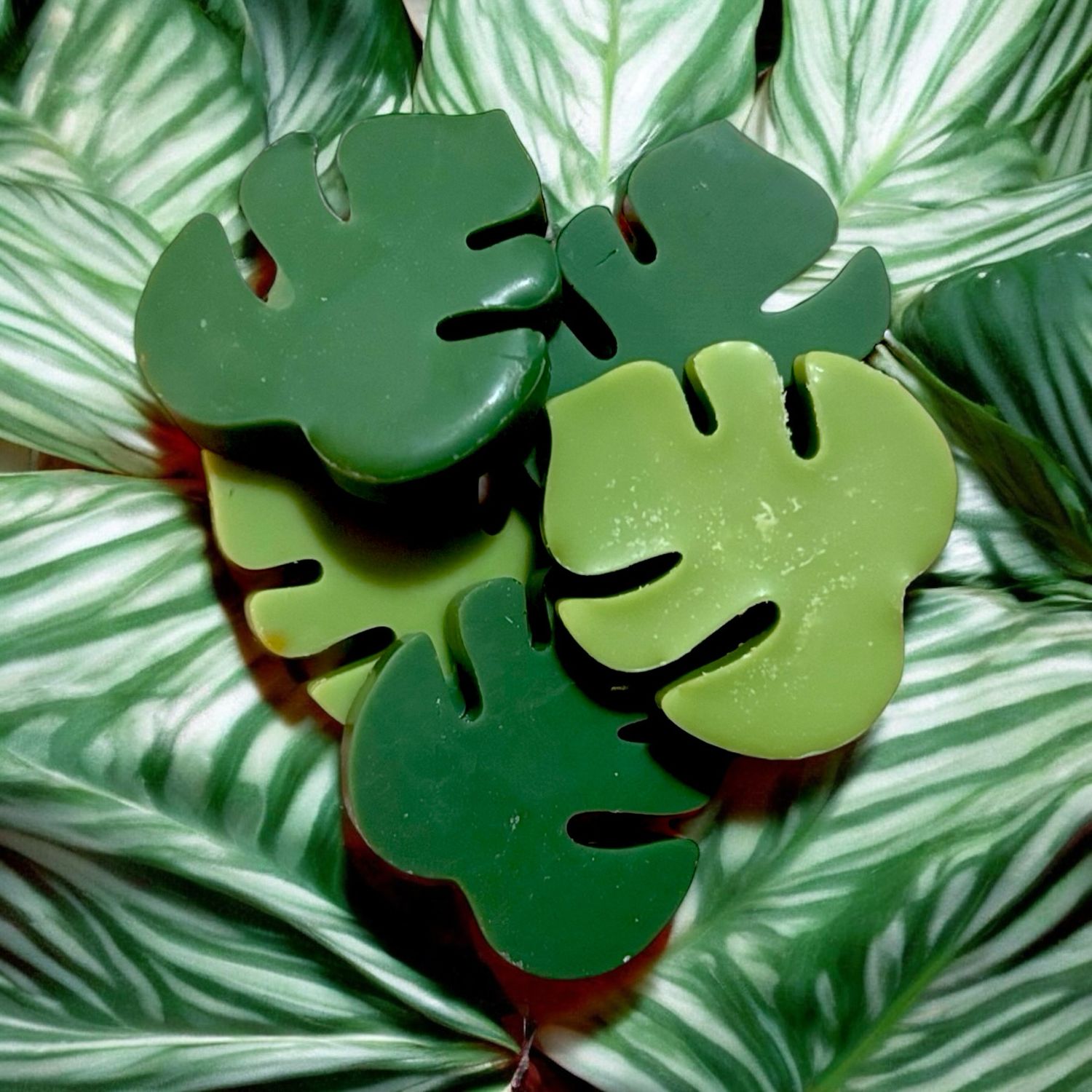 Monstera Leafs Wax or Soap Embeds