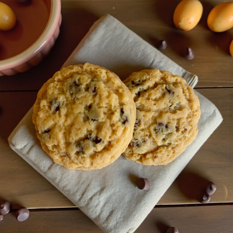 Realistic Cookie Wax or Soap Embeds