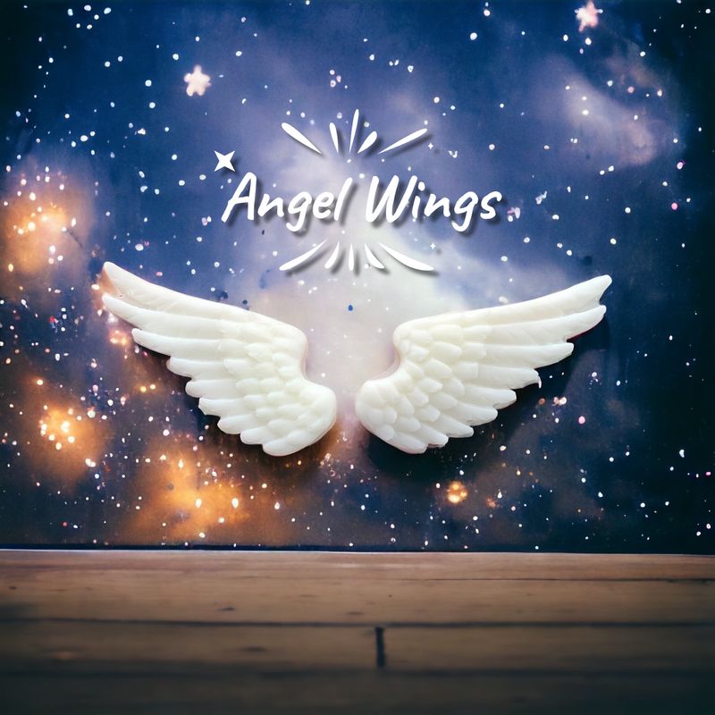 Angelic Wings Set Wax or Soap Embeds