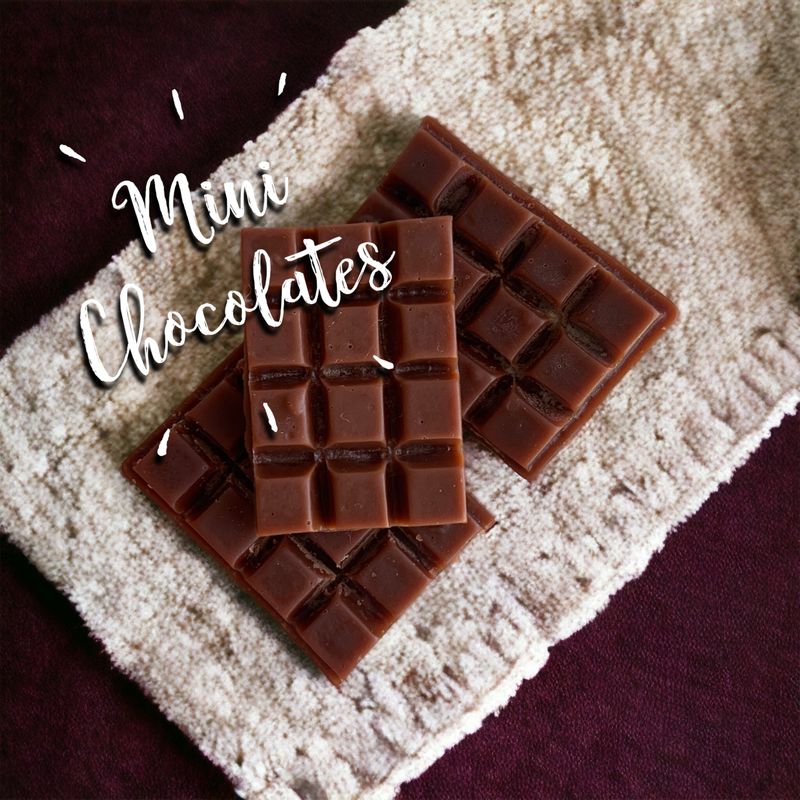 Mini Chocolates Wax or Soap Embeds