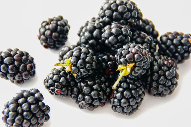 Berry Boost  Pouches