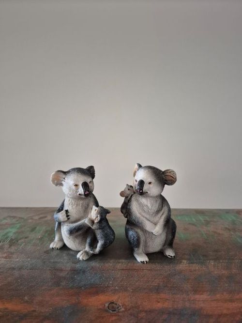 Nieuw - Koalas