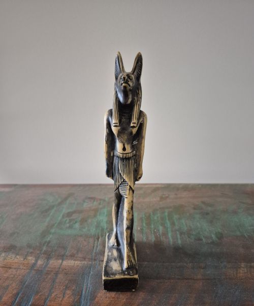 Nieuw - Anubis