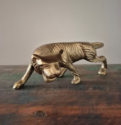 Nieuw – Tijger