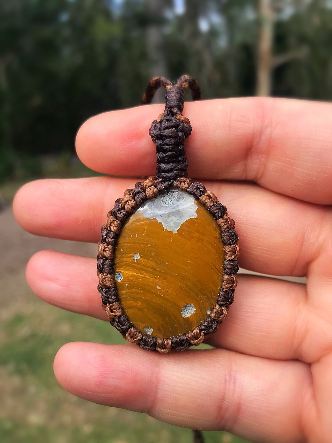 Petrified Wood Pendant