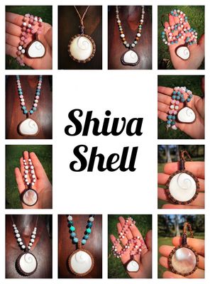 Shiva Shell 🐚 