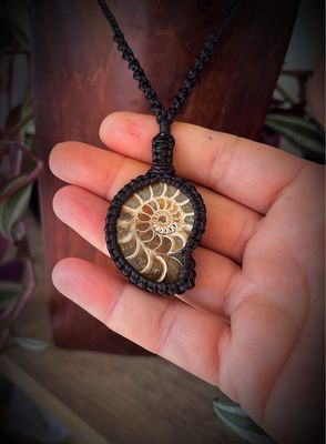 Ammonite Fossil Pendant