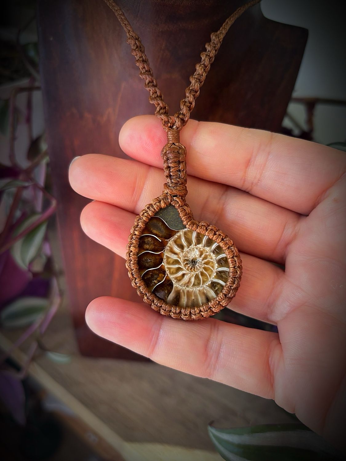 Ammonite Fossil Pendant