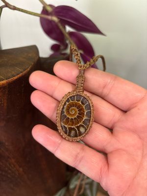 Ammonite Fossil Pendant