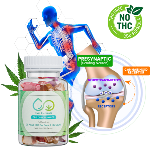 Experience the Benefits of Twin Elements CBD Gummies