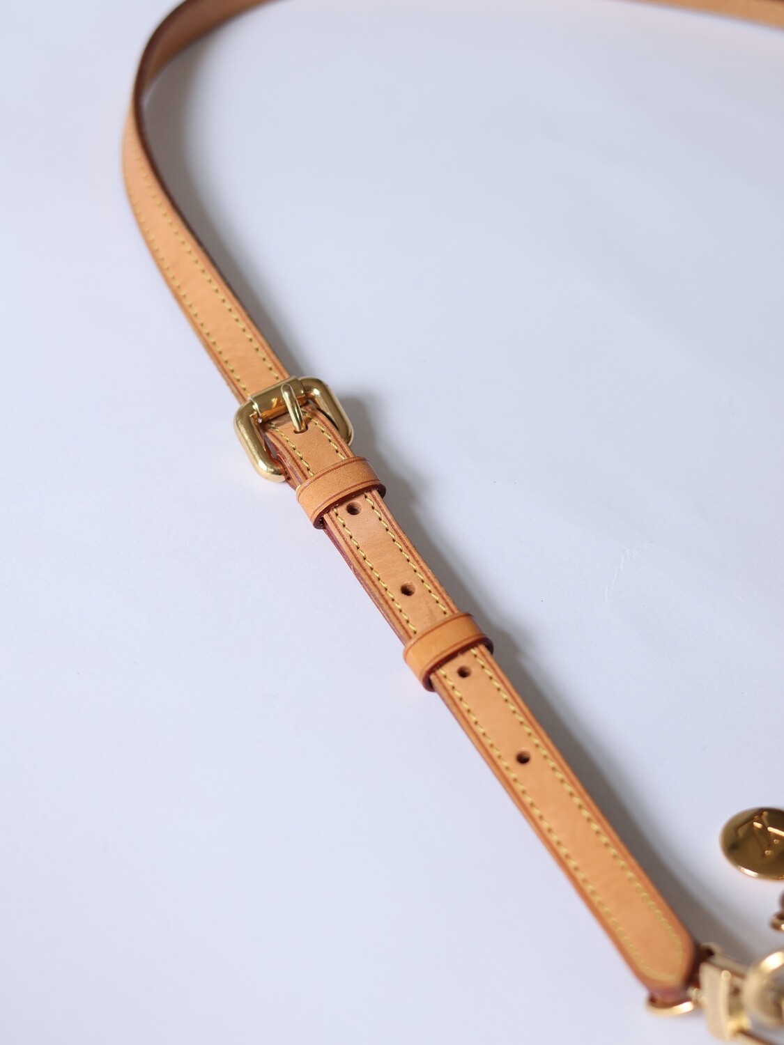 LOUIS VUITTON PALERMO BAG