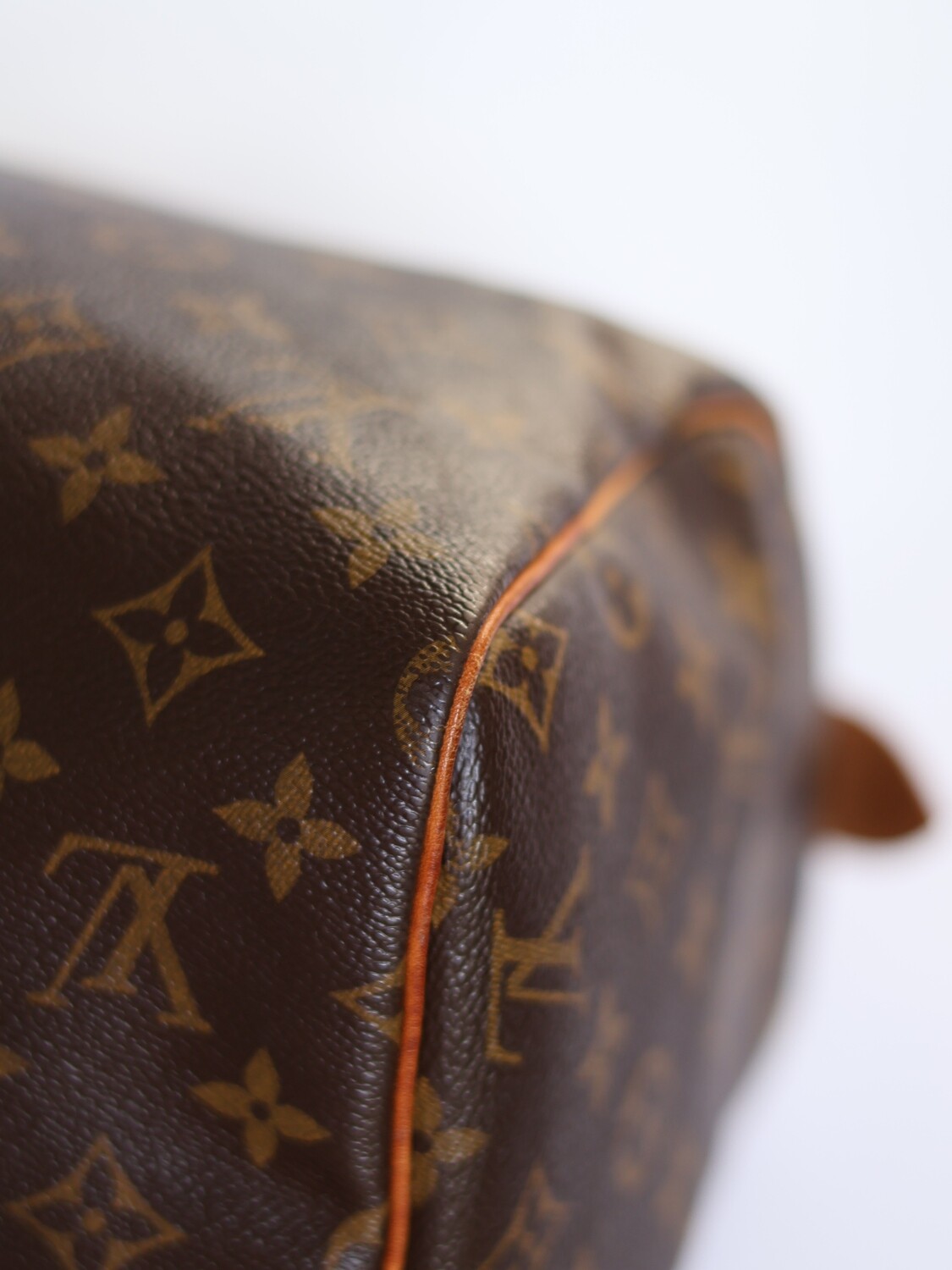 LOUIS VUITTON SPEEDY BAG