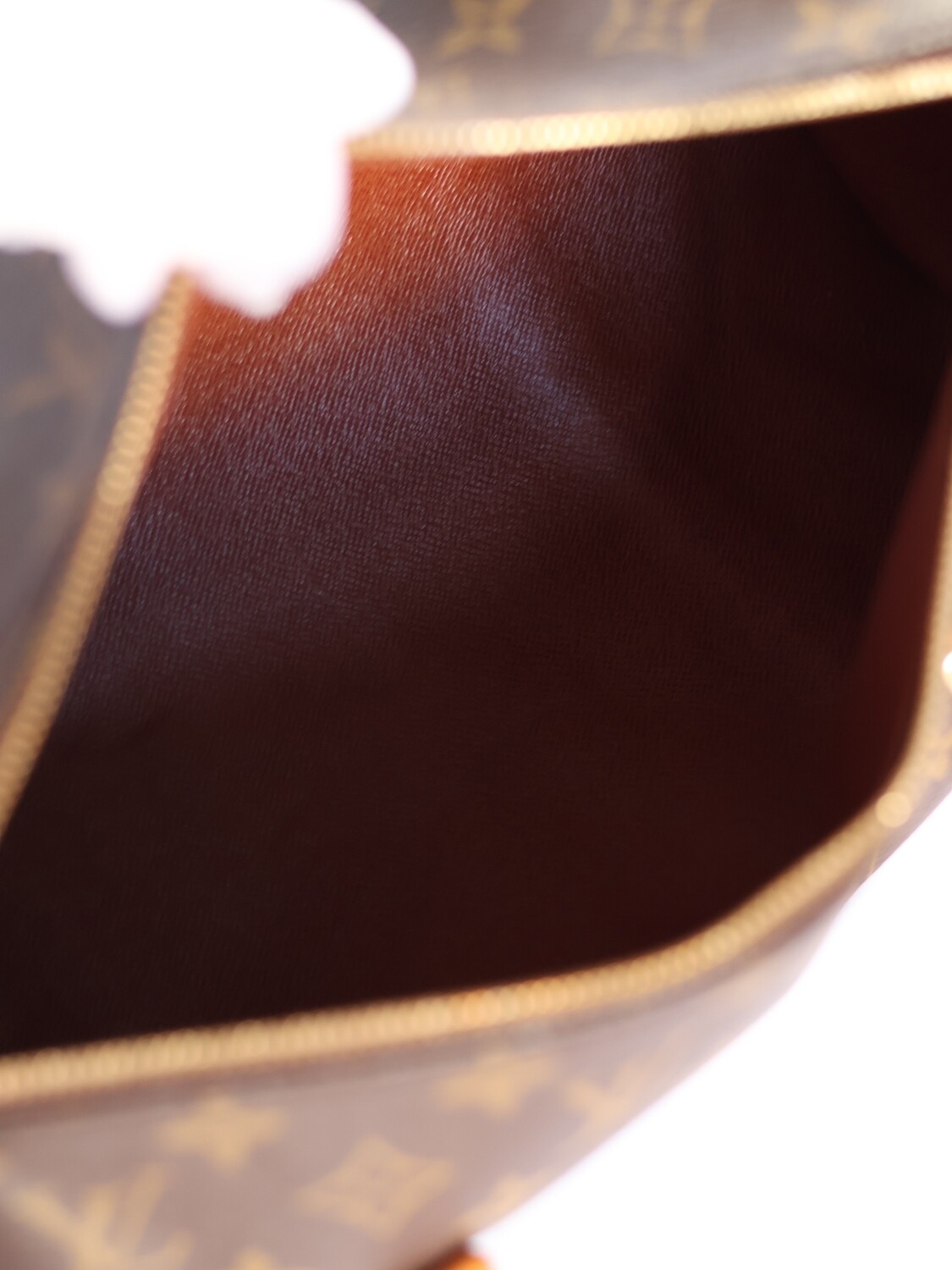 LOUIS VUITTON PAPILLON BAG